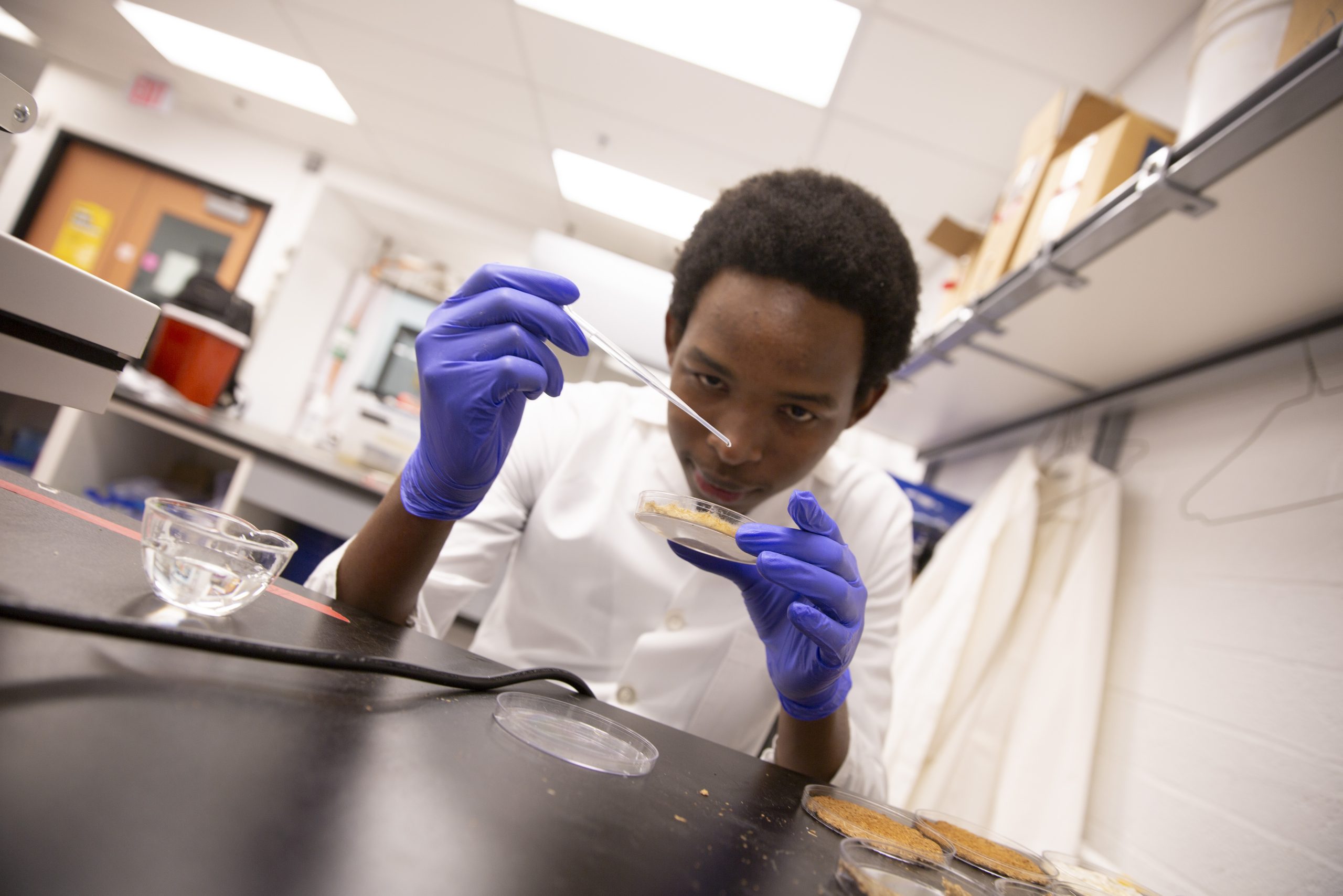 MS Nutritional Science